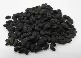 Efficacy and Usage of Ligustri Lucidi Fructus (Nǚ Zhēn Zǐ)