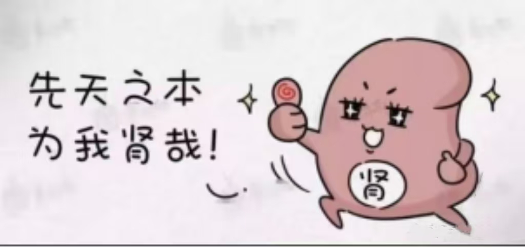 Kidney tonification is divided into four steps addressing th